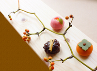 山茶花・初霜・木守り